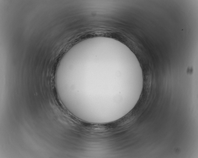 X0000111170653200907011009