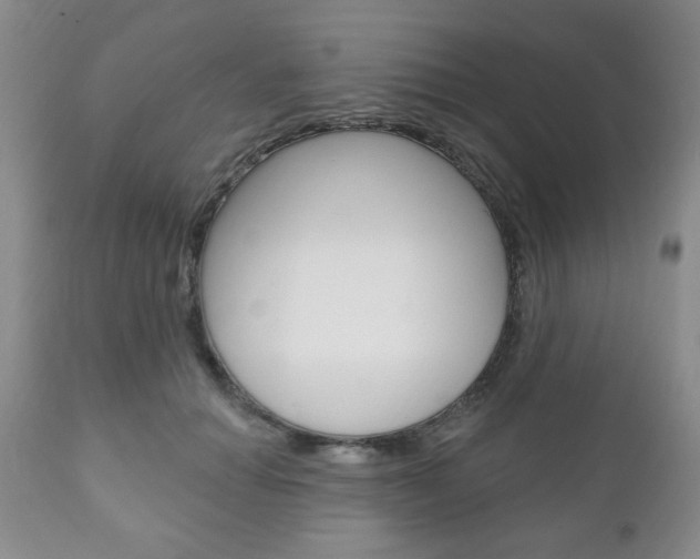 X0000111170654200907011009