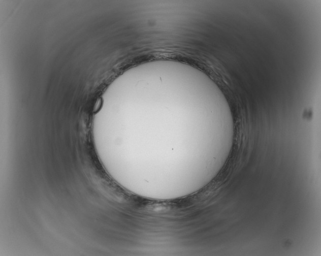 X0000111170655200907011009