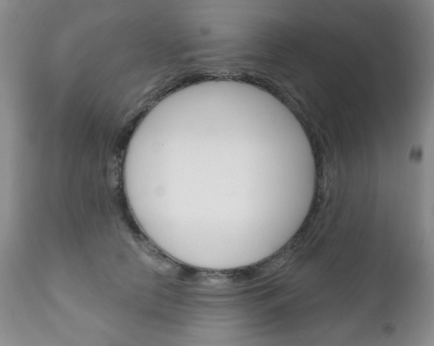 X0000111170658200907011009