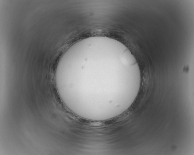 X0000111170659200907011009