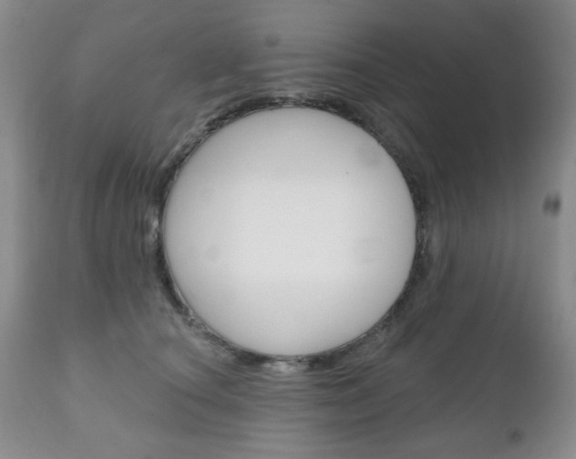 X0000111170660200907011009