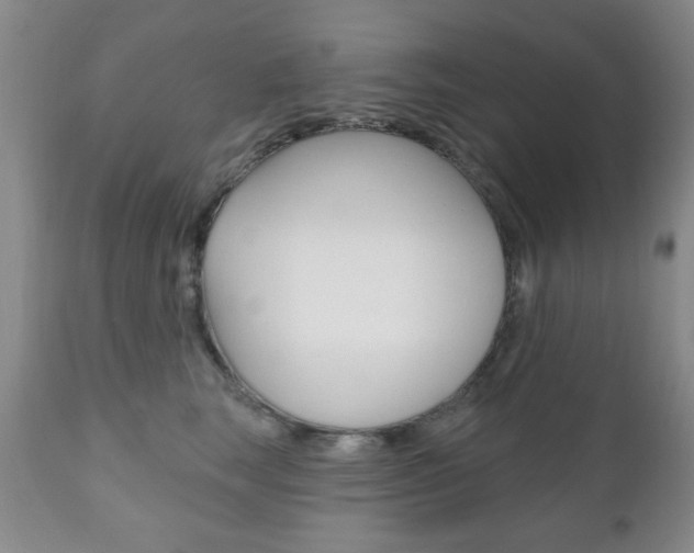 X0000111170663200907011009