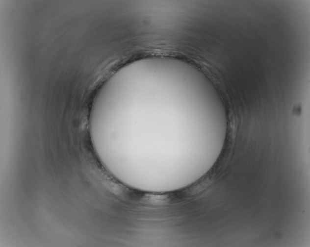 X0000111170665200907011009