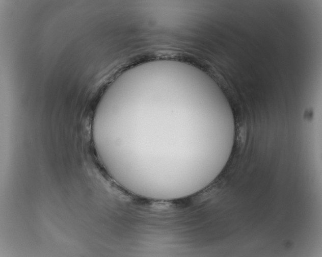 X0000111170666200907011009