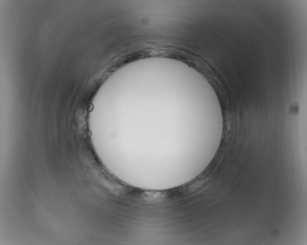 X0000111170667200907011009
