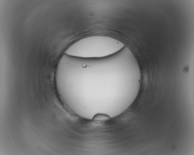 X0000111170668200907011009