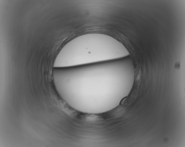 X0000111170669200907011009