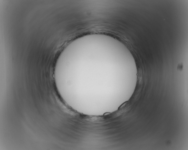 X0000111170670200907011009