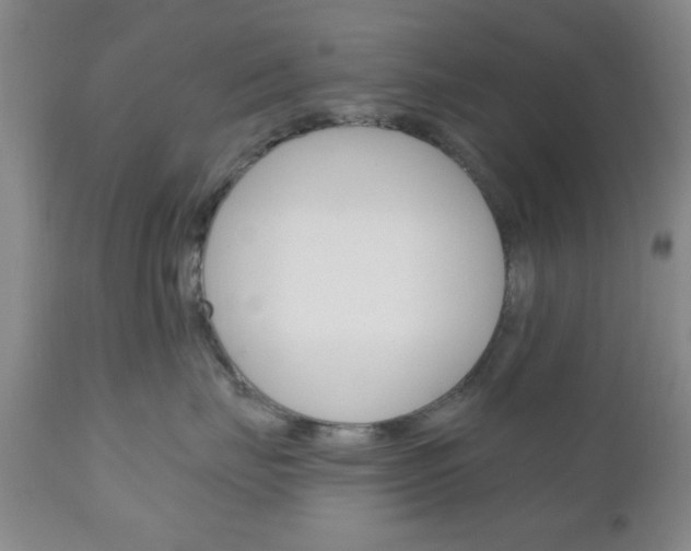 X0000111170671200907011009