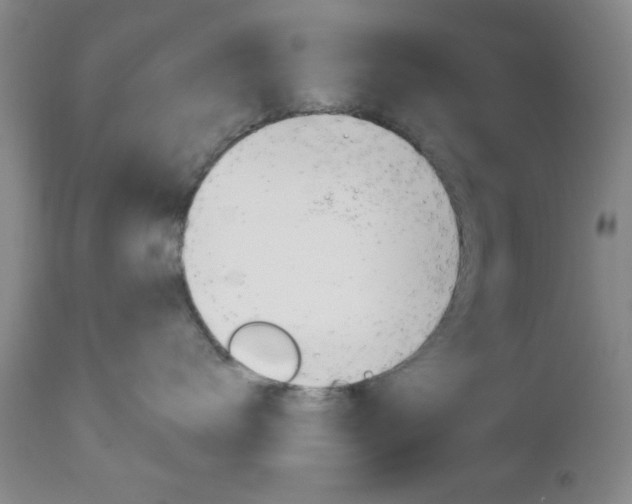 X0000111170672200907011009