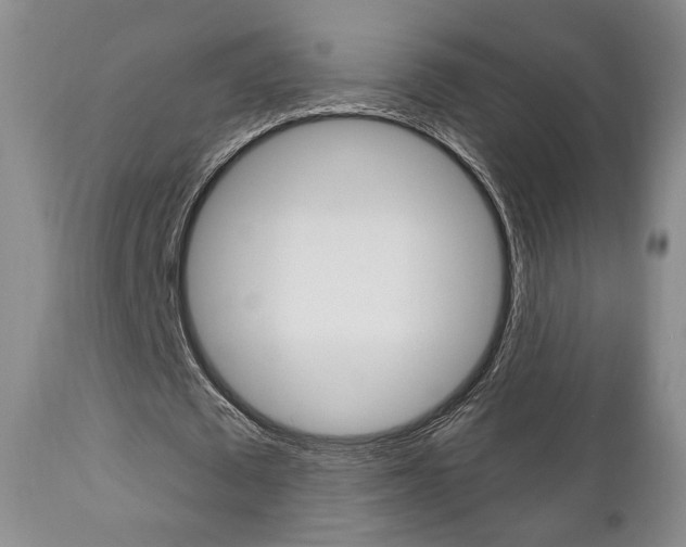 X0000111170673200907011009