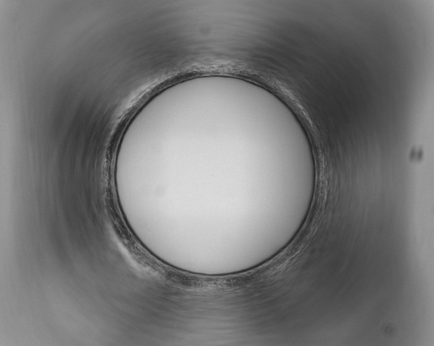 X0000111170674200907011009