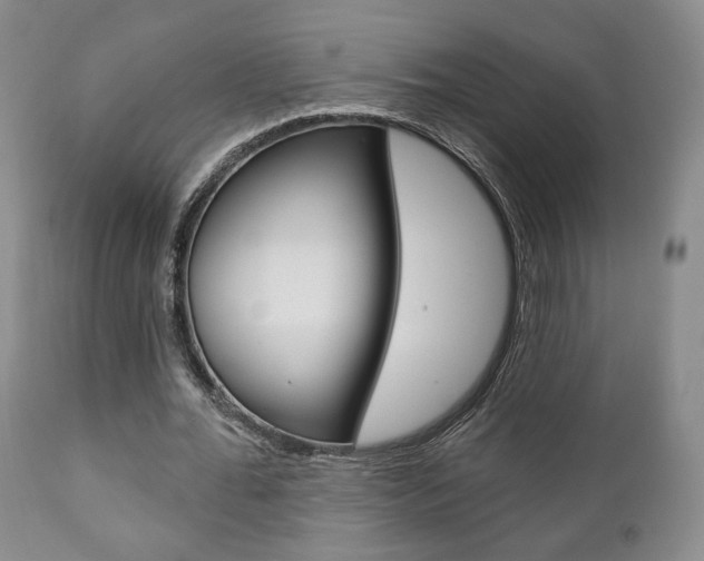 X0000111170676200907011009