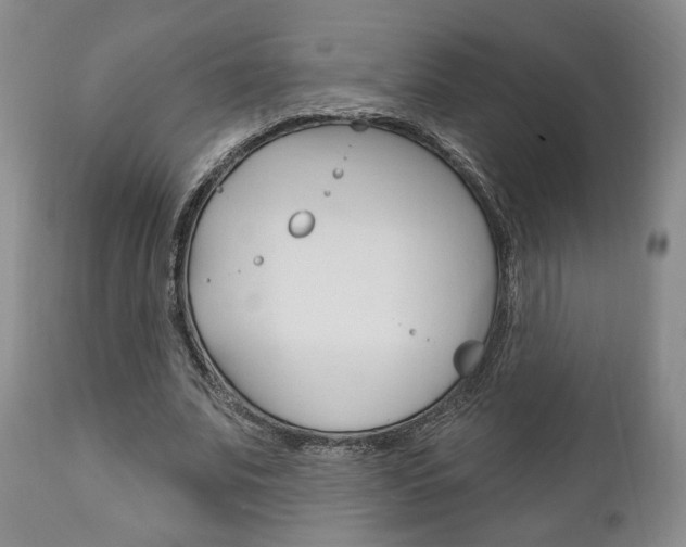 X0000111170679200907011009