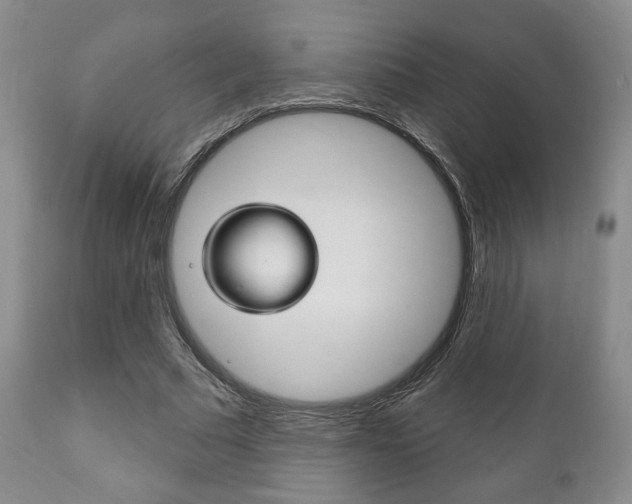 X0000111170681200907011009