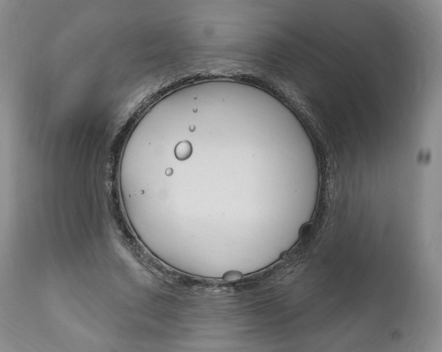 X0000111170683200907011009