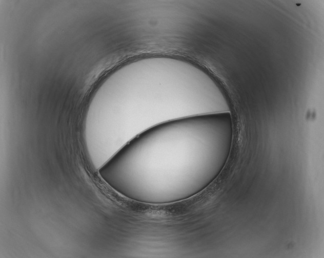 X0000111170685200907011008