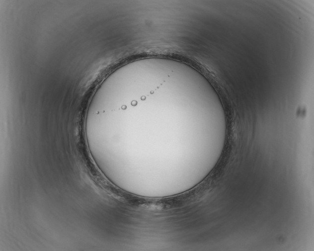 X0000111170687200907011008