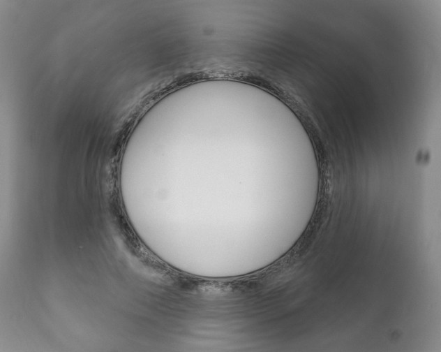 X0000111170690200907011008