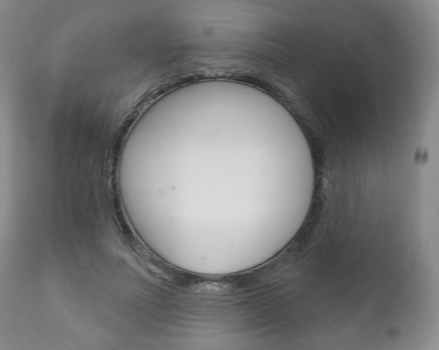 X0000111170691200907011008