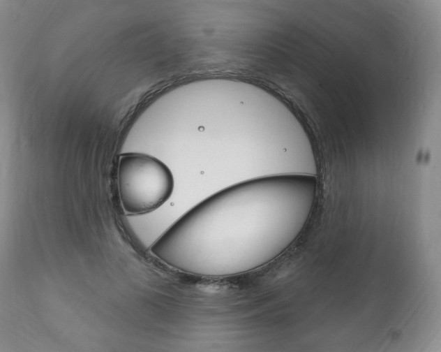 X0000111170693200907011008