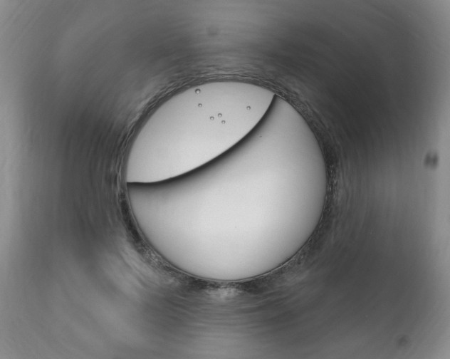 X0000111170695200907011008