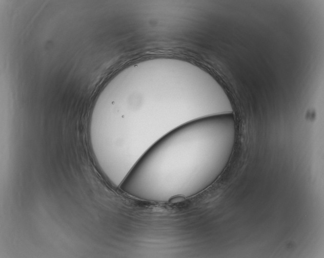 X0000111170697200907011008