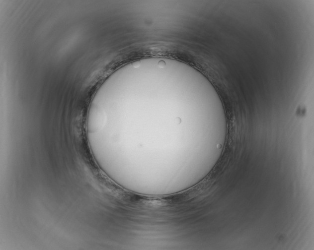 X0000111170698200907011008