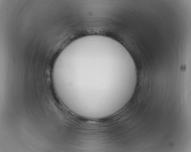 X0000111170699200907011008