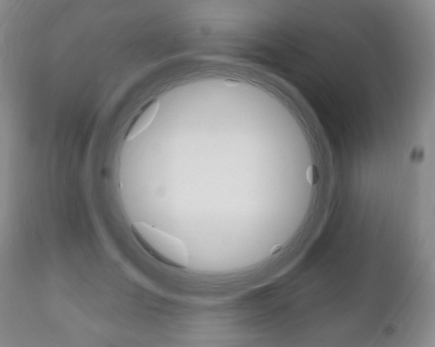 X0000111170701200907011008