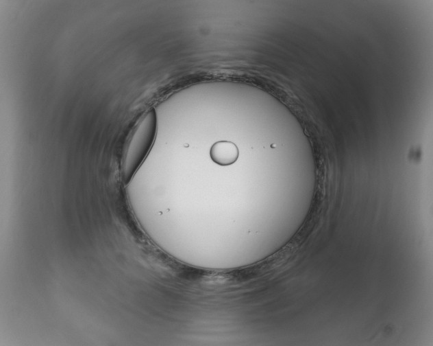 X0000111170704200907011008