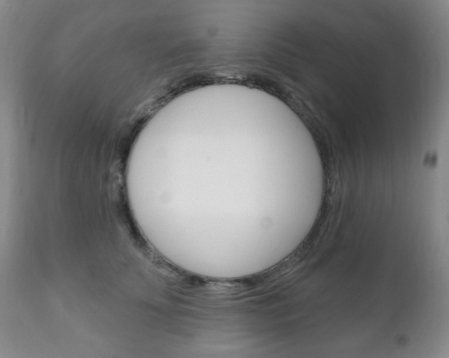 X0000111170707200907011008