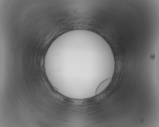 X0000111170709200907011008