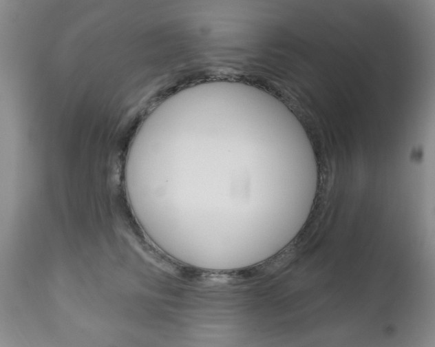 X0000111170710200907011008