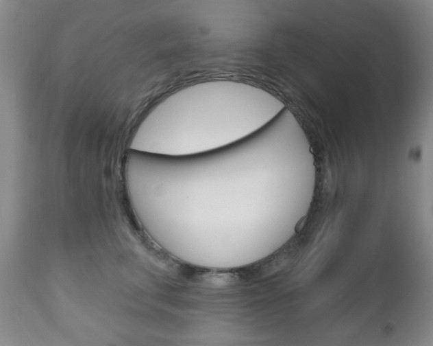 X0000111170711200907011008