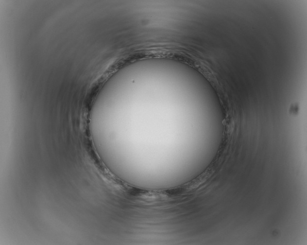 X0000111170712200907011008