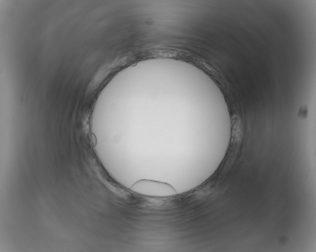 X0000111170713200907011008