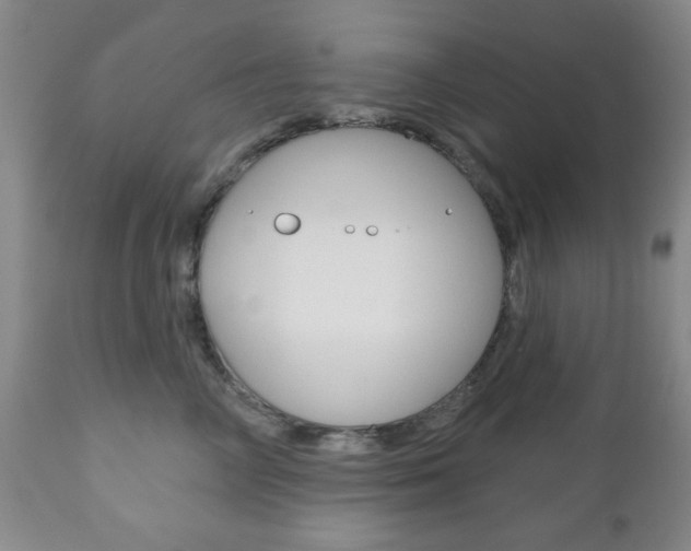 X0000111170714200907011008
