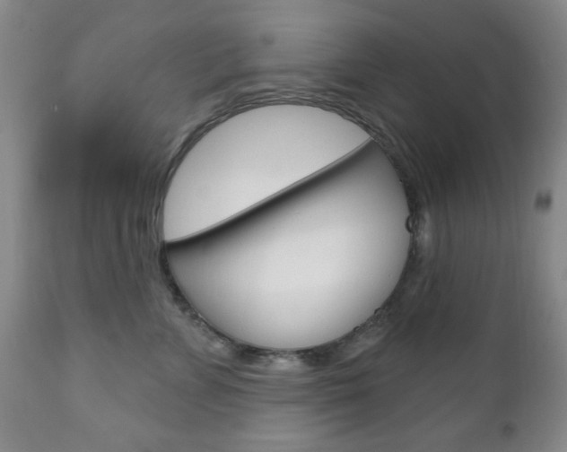 X0000111170715200907011008