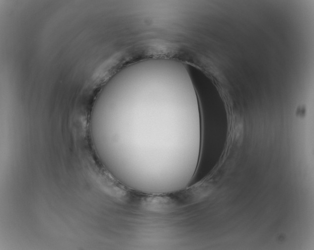 X0000111170716200907011008