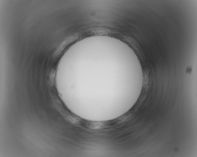 X0000111170717200907011008