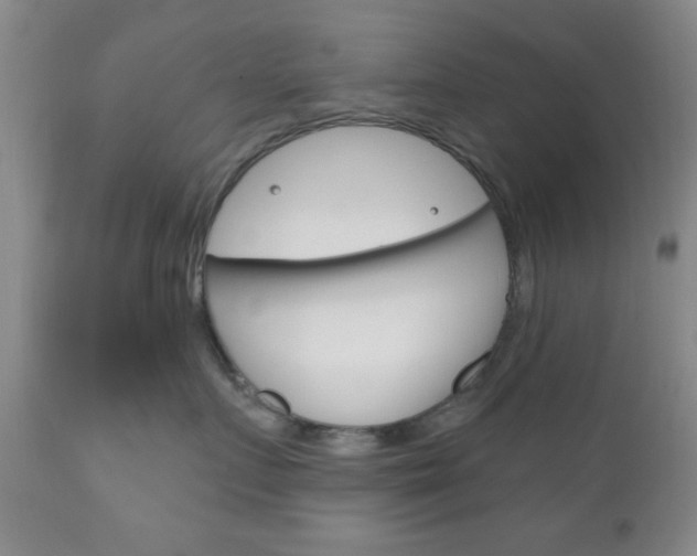 X0000111170719200907011008