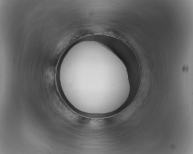 X0000111170720200907011008