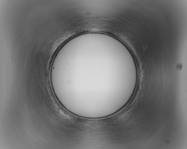 X0000111170721200907011007