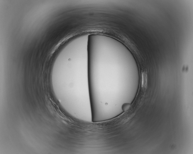 X0000111170723200907011007