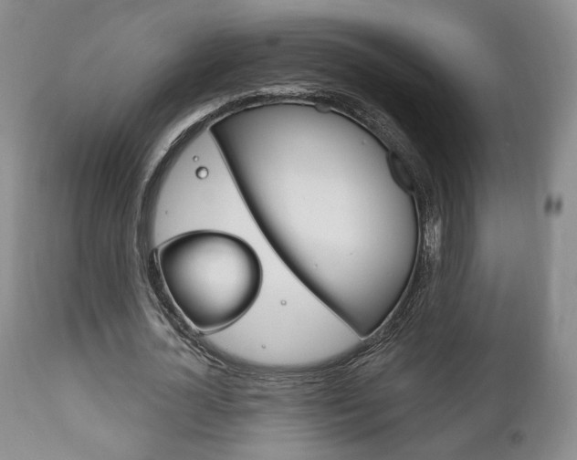 X0000111170724200907011007