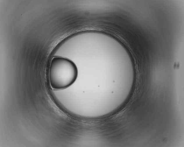 X0000111170725200907011007