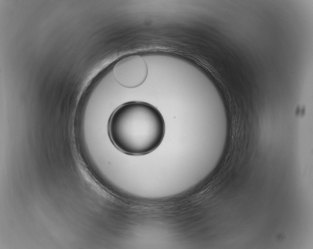 X0000111170726200907011007