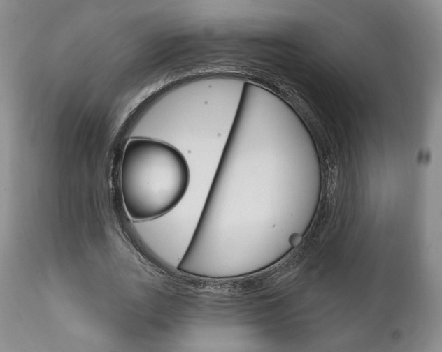 X0000111170727200907011007